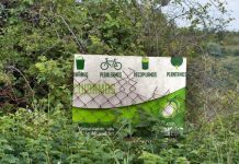 Los resultados del censo del arbolado urbano ¿un secreto de estado?