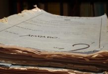 Gastos de la Revolución Verde: Denuncian incumplimiento de sentencia judicial por parte de la Municipalidad de Salta